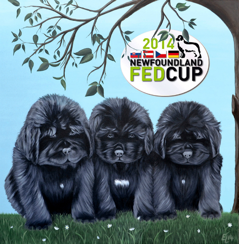 logo-fed-cup-2014-nove