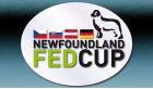 logo fedcup